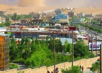 جبهه مقاومت ملی: ۴جنگ‌جوی گروه طالبان در غور کشته شدند
