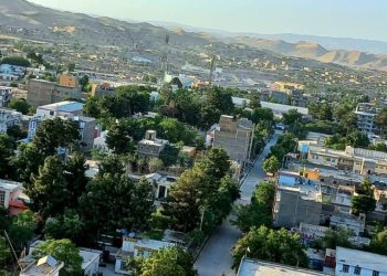 ادامه ممنوعیت تصاویر زنده‌جان‌ها؛ گروه طالبان نشر تصاویر«زنده‌جان» را دربادغیس منع کردند
