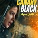فیلم قناری سیاه