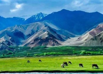 زمین‌لرزه‌ نستبا شدید در افغانستان؛