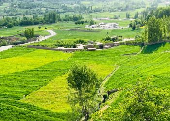 گروه طالبان سه تن را در بغلان بازداشت و از آن‌ها باج‌گیری کردند