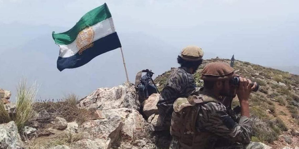 جبهه مقاومت ملی: ۴ جنگ‌جوی گروه طالبان را در پروان کشته و زخمی کردیم