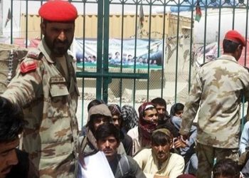 پاکستان حدود ۸۰۰ پناه‌جوی افعانستان را بازداشت کرده است