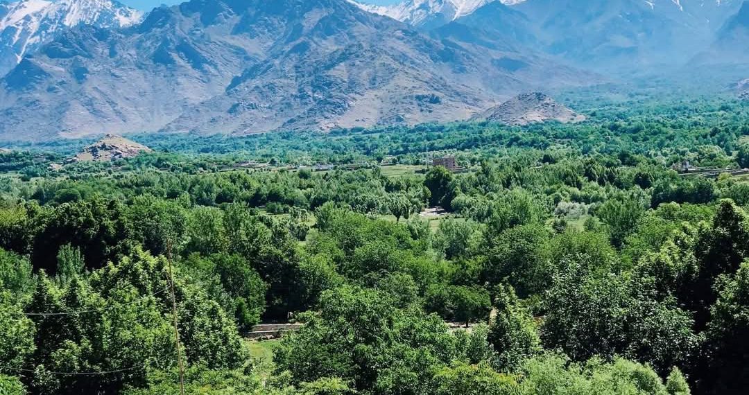 جبهه مقاومت ملی: ۵ جنگ‌جوی گروه طالبان در کاپیسا کشته و زخمی شدند