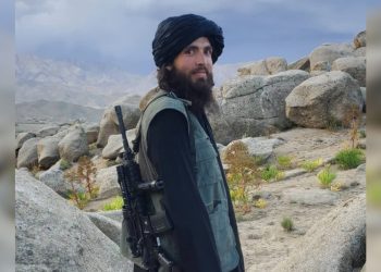 محمد زبیر ودان، سفیر گروه طالبان در ترکیه تعیین شد