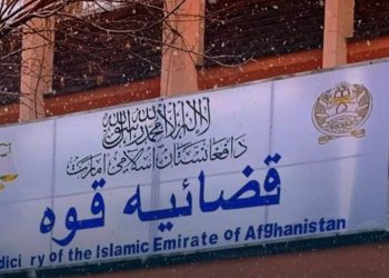 گروه طالبان ۱۰ تن را در کابل و ارزگان مجازات کردند