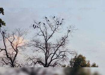 غربت، تحقیر و آینده‌ای که از ما گرفته شد