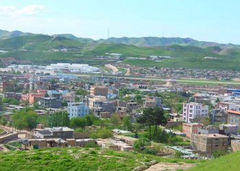 قتل یک مرد توسط برادرش در بادغیس