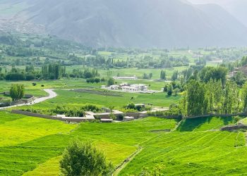 بازداشت دو نوجوان در بغلان از سوی گروه طالبان