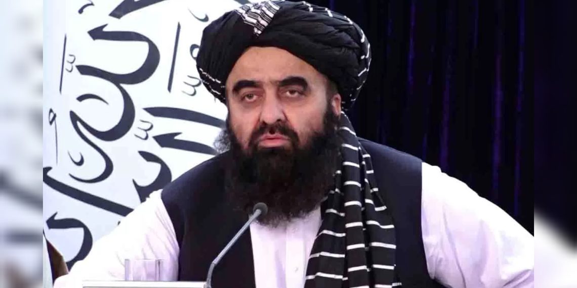 متقی: هیچ دلیل شرعی و عرفی بر مخالفت در برابر امارت اسلامی وجود ندارد