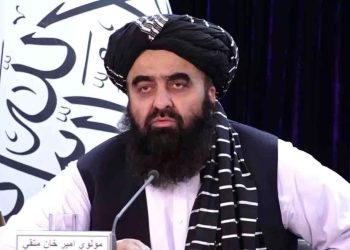 متقی: هیچ دلیل شرعی و عرفی بر مخالفت در برابر امارت اسلامی وجود ندارد