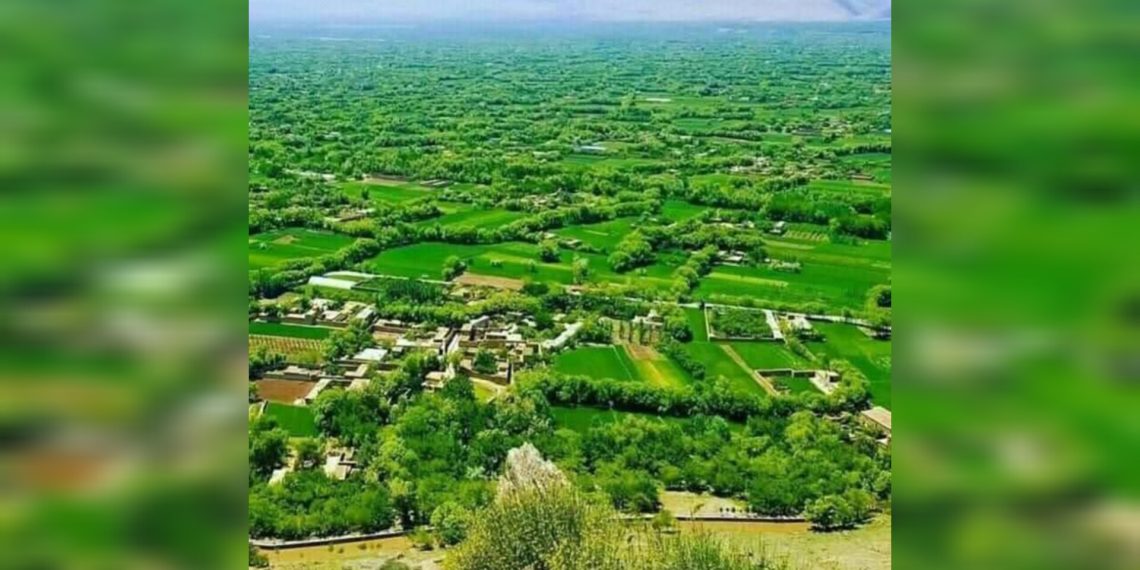 یک مرد در کاپیسا، به شمول همسرش، سه تن را به قتل رساند
