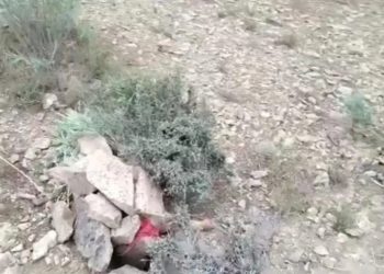 افراد ناشناس یک کودک را در استان پکتیکا زیر سنگ کردند