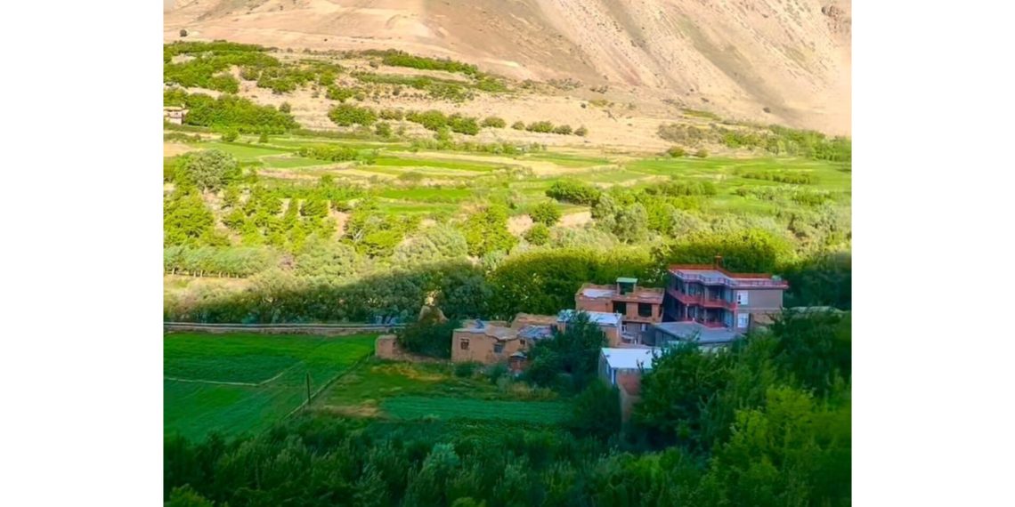 تا جُنینی، کار خون آشامی است