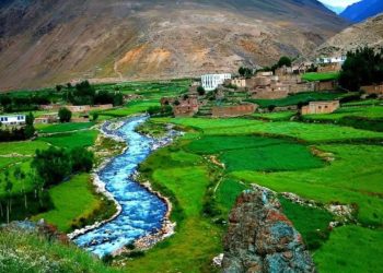 بازداشت پنج باشنده پنجشیر از سوی گروه طالبان